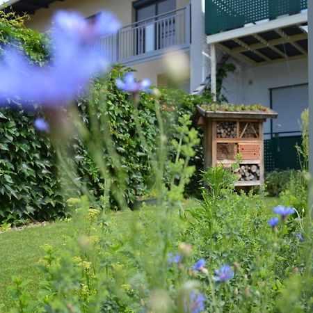 Gaestehaus Schmidt Hotel Podersdorf am See Bagian luar foto