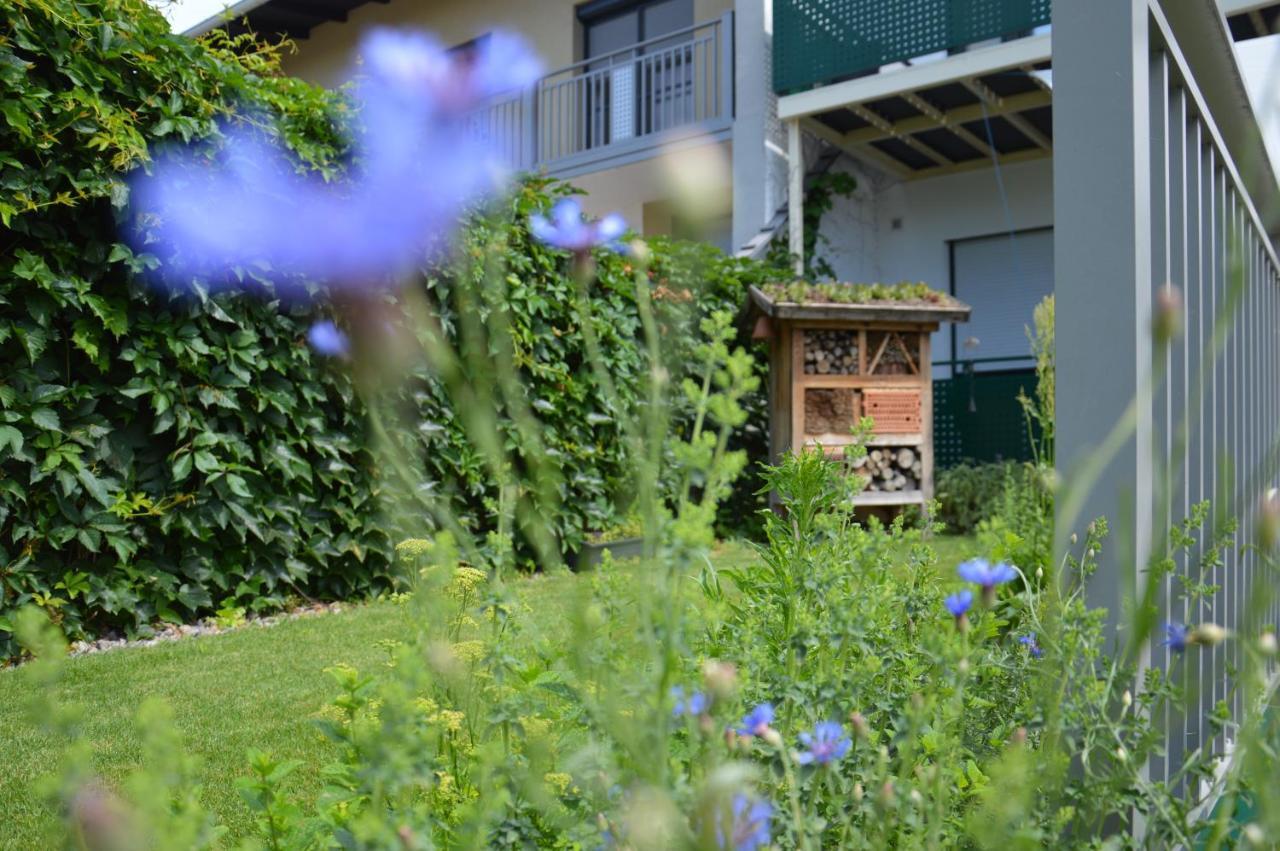 Gaestehaus Schmidt Hotel Podersdorf am See Bagian luar foto